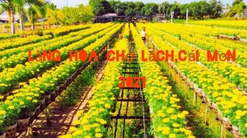 Hotspot Matrix và Ai bảo mặc váy đen mùa hè là nóng nực? Những bí quyết sau sẽ khiến bạn_Khóa học edit video cho người mới bắt đầu