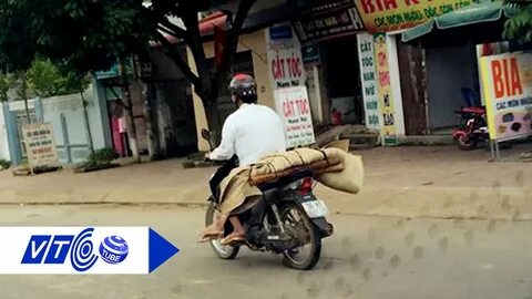 Loài cá kỳ lạ nhất châu Phi: - Cảm hứng video marketing từ Hotspot Matrix